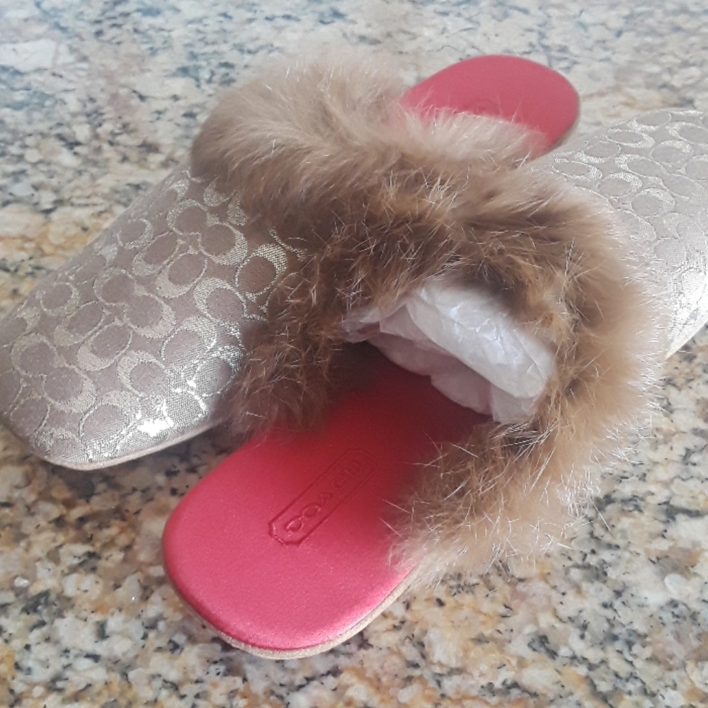 Coach Slippers